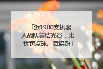 近1900支机器人战队集结光谷，比拼罚点球、障碍跑