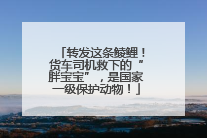 转发这条鲮鲤！货车司机救下的“胖宝宝”，是国家一级保护动物！
