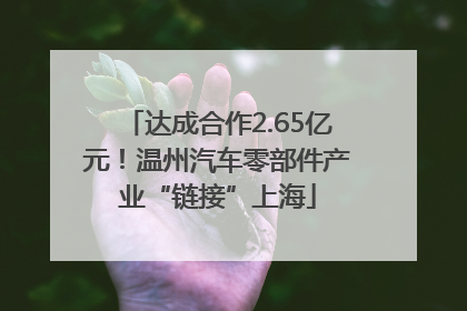 达成合作2.65亿元！温州汽车零部件产业“链接”上海