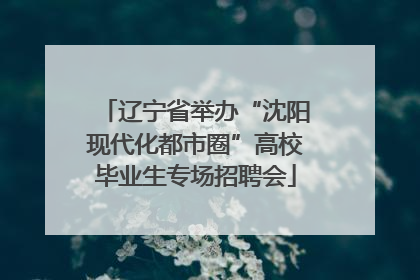 辽宁省举办“沈阳现代化都市圈”高校毕业生专场招聘会