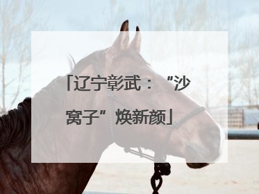 辽宁彰武：“沙窝子”焕新颜