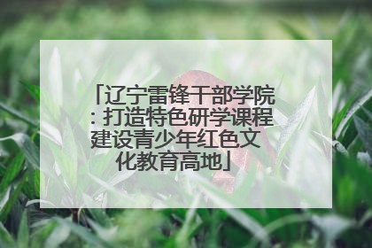 辽宁雷锋干部学院：打造特色研学课程 建设青少年红色文化教育高地