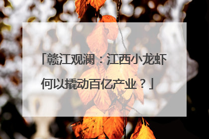 赣江观澜：江西小龙虾何以撬动百亿产业？