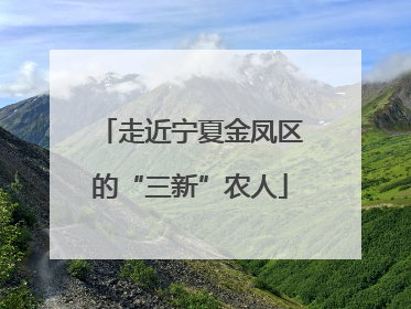 走近宁夏金凤区的“三新”农人