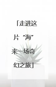 走进这片“海”来一场奇幻之旅
