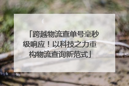 跨越物流查单号毫秒级响应！以科技之力重构物流查询新范式