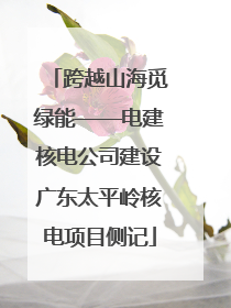 跨越山海觅绿能——电建核电公司建设广东太平岭核电项目侧记
