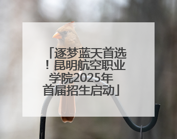 逐梦蓝天首选！昆明航空职业学院2025年首届招生启动