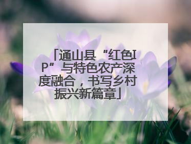 通山县“红色IP”与特色农产深度融合，书写乡村振兴新篇章