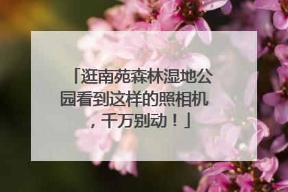 逛南苑森林湿地公园看到这样的照相机，千万别动！