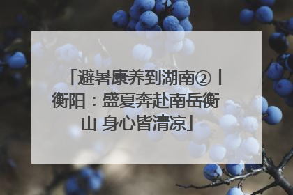 避暑康养到湖南②丨衡阳：盛夏奔赴南岳衡山 身心皆清凉