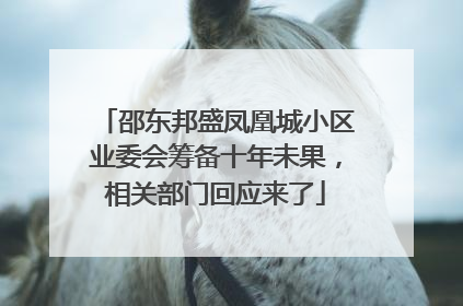 邵东邦盛凤凰城小区业委会筹备十年未果，相关部门回应来了
