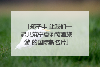 郑子丰 让我们一起共筑宁夏葡萄酒旅游 的国际新名片