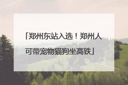 郑州东站入选！郑州人可带宠物猫狗坐高铁