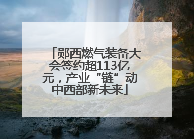 郧西燃气装备大会签约超113亿元，产业“链”动中西部新未来