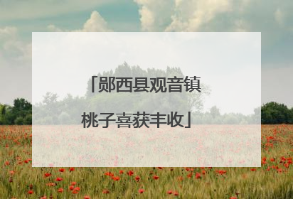郧西县观音镇桃子喜获丰收