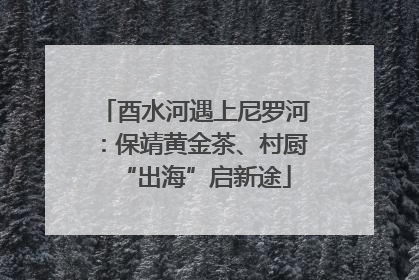 酉水河遇上尼罗河：保靖黄金茶、村厨“出海”启新途