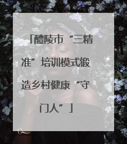 醴陵市“三精准”培训模式锻造乡村健康“守门人”