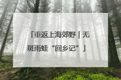 重返上海郊野｜无斑雨蛙“回乡记”