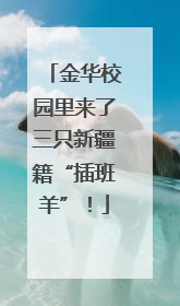 金华校园里来了三只新疆籍“插班羊”！