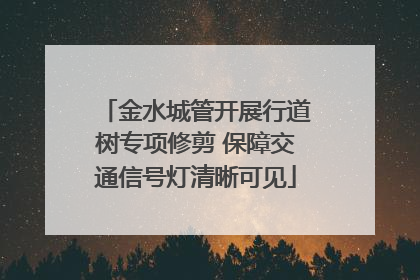 金水城管开展行道树专项修剪 保障交通信号灯清晰可见