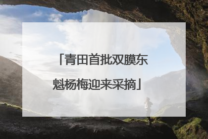 青田首批双膜东魁杨梅迎来采摘