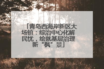 青岛西海岸新区大场镇：综治中心化解民忧，绘就基层治理新“枫”景