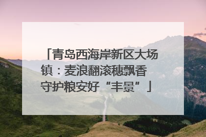 青岛西海岸新区大场镇：麦浪翻滚穗飘香 守护粮安好“丰景”