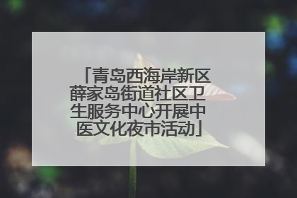 青岛西海岸新区薛家岛街道社区卫生服务中心开展中医文化夜市活动