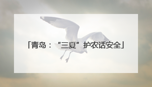 青岛：“三夏”护农话安全