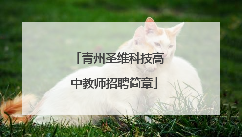 青州圣维科技高中教师招聘简章