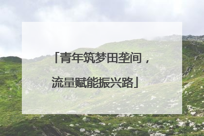 青年筑梦田垄间，流量赋能振兴路