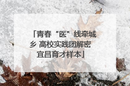 青春“医”线牵城乡 高校实践团解密宜昌育才样本