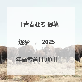 青春赴考 提笔逐梦——2025年高考首日见闻