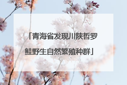 青海省发现川陕哲罗鲑野生自然繁殖种群