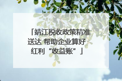 靖江税收政策精准送达 帮助企业算好红利“收益账”