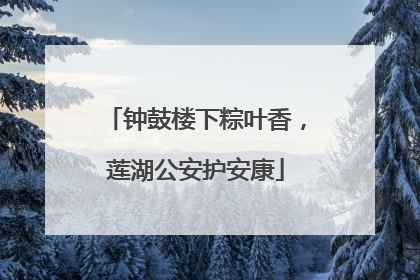 钟鼓楼下粽叶香，莲湖公安护安康