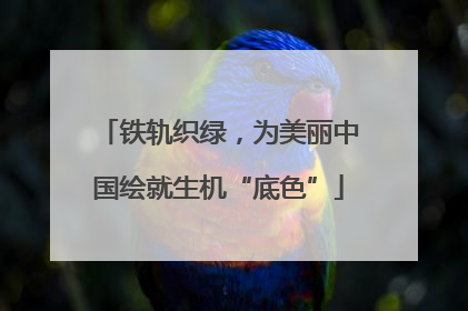 铁轨织绿，为美丽中国绘就生机“底色”
