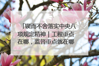 锲而不舍落实中央八项规定精神｜工程重点在哪，监督重点就在哪——广西深化政治监督护航平陆运河建设