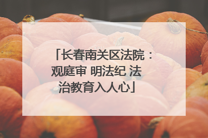 长春南关区法院：观庭审 明法纪 法治教育入人心