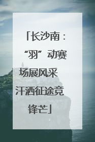 长沙南：“羽”动赛场展风采 汗洒征途竞锋芒