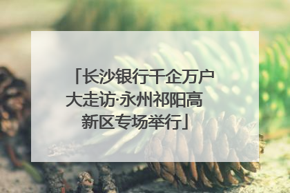 长沙银行千企万户大走访·永州祁阳高新区专场举行