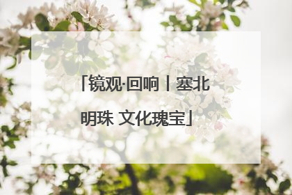 镜观·回响丨塞北明珠 文化瑰宝