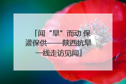 闻“旱”而动 保灌保供——陕西抗旱一线走访见闻