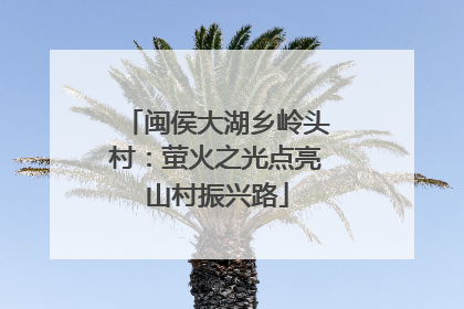闽侯大湖乡岭头村：萤火之光点亮山村振兴路