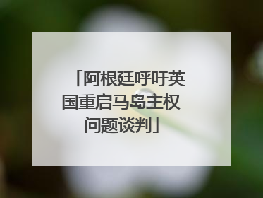 阿根廷呼吁英国重启马岛主权问题谈判