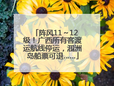 阵风11～12级！广西所有客渡运航线停运，涠洲岛船票可退……