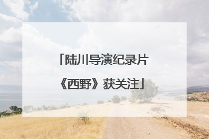 陆川导演纪录片《西野》获关注