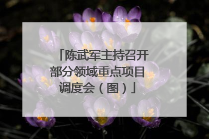 陈武军主持召开部分领域重点项目调度会（图）