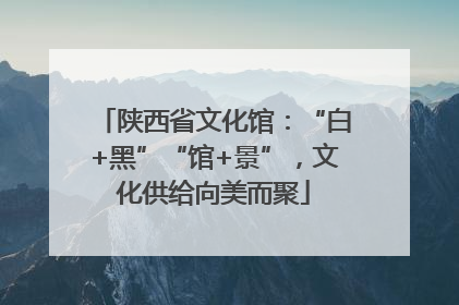 陕西省文化馆：“白+黑”“馆+景”，文化供给向美而聚